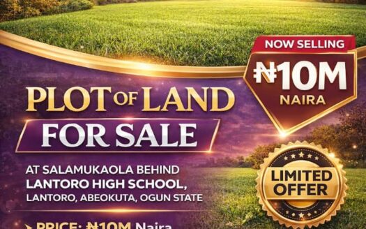 1 Plot of Land For Sale